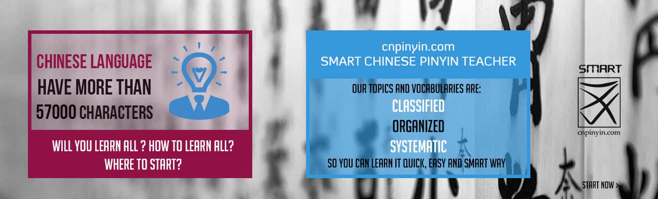 Vocabulary test at Smart Chinese Pinyin Teacher (cnpinyin.com)